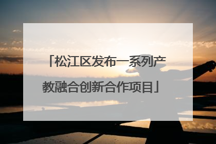 松江区发布一系列产教融合创新合作项目