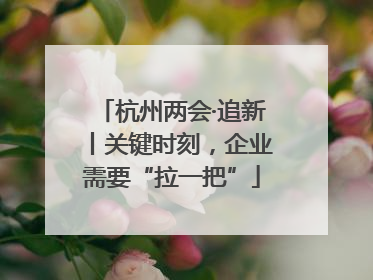 杭州两会·追新丨关键时刻，企业需要“拉一把”