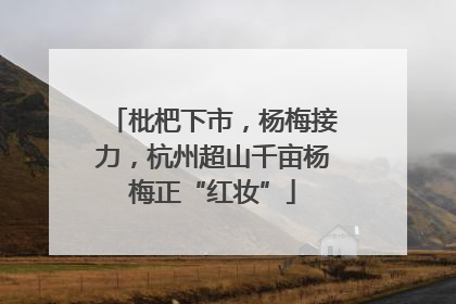枇杷下市，杨梅接力，杭州超山千亩杨梅正“红妆”