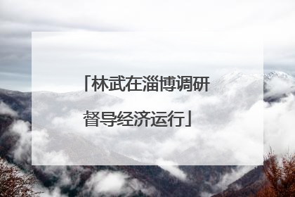林武在淄博调研督导经济运行