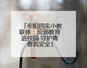 枣阳四实小教联体：反邪教育进校园 守护青春筑安全