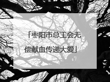 枣阳市总工会无偿献血传递大爱