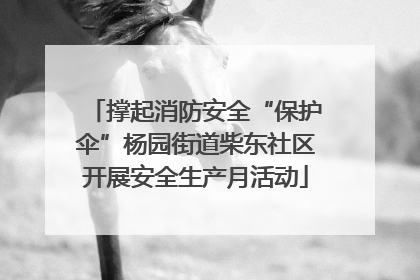 撑起消防安全“保护伞”杨园街道柴东社区开展安全生产月活动