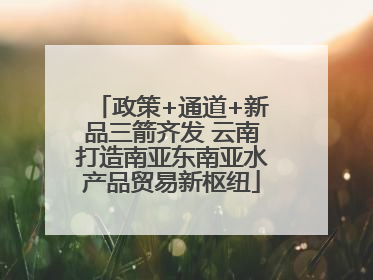 政策+通道+新品三箭齐发 云南打造南亚东南亚水产品贸易新枢纽
