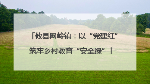 攸县网岭镇：以“党建红”筑牢乡村教育“安全绿”