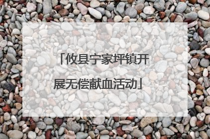 攸县宁家坪镇开展无偿献血活动