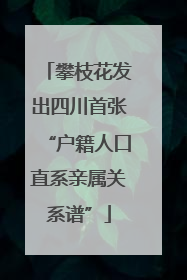 攀枝花发出四川首张“户籍人口直系亲属关系谱”