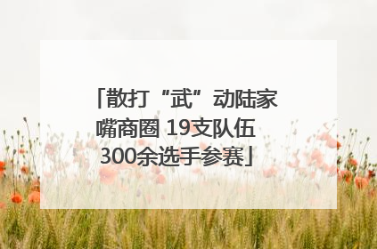 散打“武”动陆家嘴商圈 19支队伍300余选手参赛