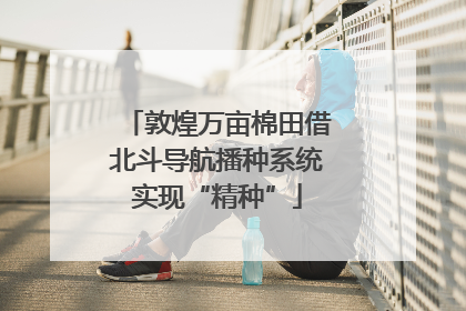 敦煌万亩棉田借北斗导航播种系统实现“精种”