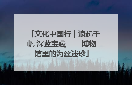 文化中国行｜浪起千帆 深蓝宝藏——博物馆里的海丝遗珍