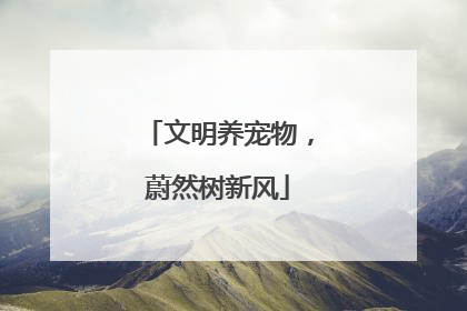 文明养宠物，蔚然树新风