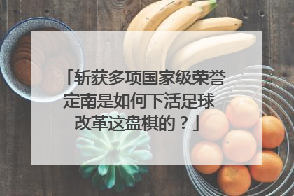 斩获多项国家级荣誉 定南是如何下活足球改革这盘棋的？