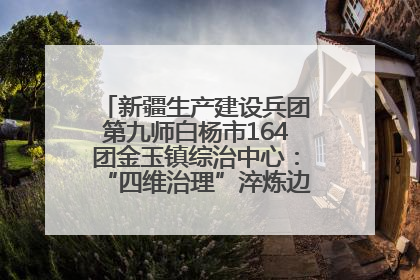 新疆生产建设兵团第九师白杨市164团金玉镇综治中心：“四维治理”淬炼边疆“枫桥样本”