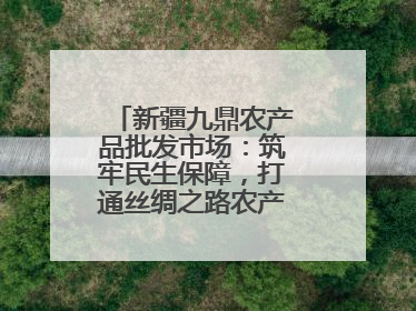 新疆九鼎农产品批发市场：筑牢民生保障，打通丝绸之路农产品贸易枢纽