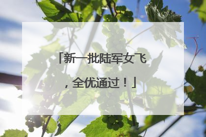 新一批陆军女飞，全优通过！