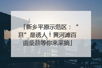 新乡平原示范区：“葚”是诱人！黄河滩百亩桑葚等你来采摘