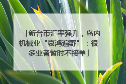 新台币汇率强升，岛内机械业“哀鸿遍野”：很多业者暂时不接单