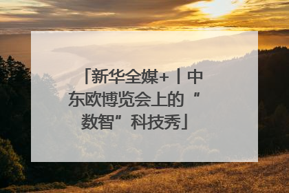 新华全媒+丨中东欧博览会上的“数智”科技秀