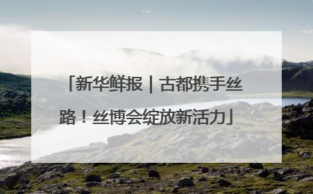 新华鲜报｜古都携手丝路！丝博会绽放新活力