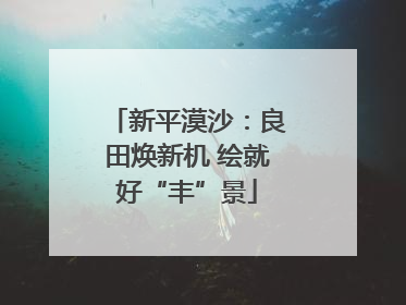 新平漠沙：良田焕新机 绘就好“丰”景