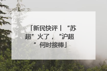新民快评丨“苏超”火了，“沪超”何时接棒