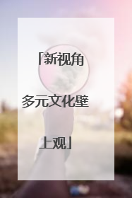 新视角 多元文化壁上观