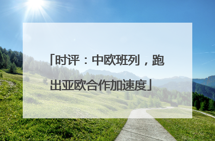 时评：中欧班列，跑出亚欧合作加速度