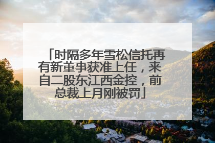 时隔多年雪松信托再有新董事获准上任，来自二股东江西金控，前总裁上月刚被罚