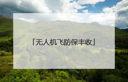 无人机飞防保丰收