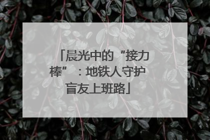 晨光中的“接力棒”：地铁人守护盲友上班路