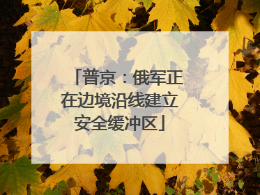 普京：俄军正在边境沿线建立安全缓冲区