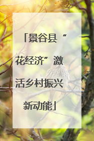 景谷县“花经济”激活乡村振兴新动能