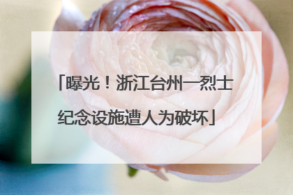 曝光！浙江台州一烈士纪念设施遭人为破坏