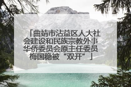 曲靖市沾益区人大社会建设和民族宗教外事华侨委员会原主任委员梅国稳被“双开”