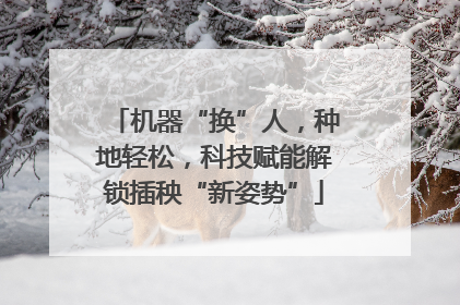 机器“换”人，种地轻松，科技赋能解锁插秧“新姿势”