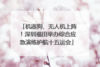 机器狗、无人机上阵！深圳福田举办综合应急演练护航十五运会