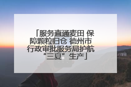 服务直通麦田 保障颗粒归仓 德州市行政审批服务局护航“三夏”生产