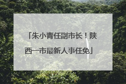 朱小青任副市长！陕西一市最新人事任免