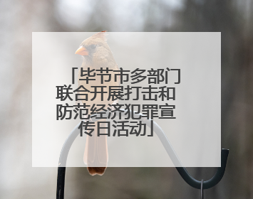 毕节市多部门联合开展打击和防范经济犯罪宣传日活动