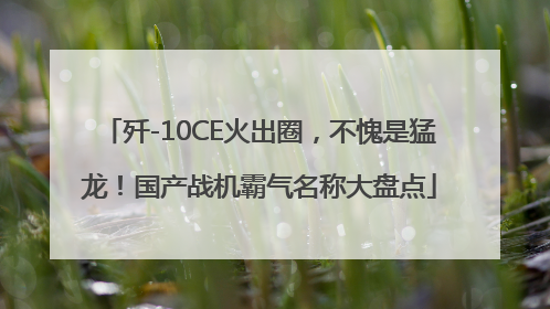 歼-10CE火出圈，不愧是猛龙！国产战机霸气名称大盘点