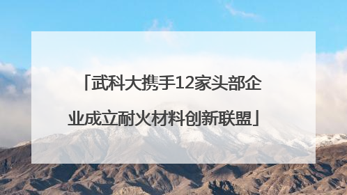 武科大携手12家头部企业成立耐火材料创新联盟