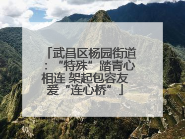 武昌区杨园街道：“特殊”踏青心相连 架起包容友爱“连心桥”