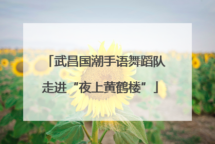 武昌国潮手语舞蹈队走进“夜上黄鹤楼”