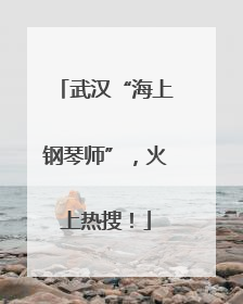 武汉“海上钢琴师”，火上热搜！