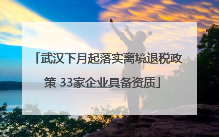 武汉下月起落实离境退税政策 33家企业具备资质