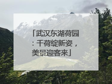 武汉东湖荷园：千荷绽新姿，美景迎客来