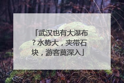 武汉也有大瀑布？水势大，夹带石块，游客莫深入