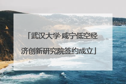 武汉大学·咸宁低空经济创新研究院签约成立