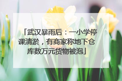 武汉暴雨后：一小学停课清淤，有商家称地下仓库数万元货物被泡