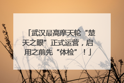 武汉最高摩天轮“楚天之眼”正式运营，启用之前先“体检”！